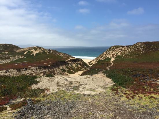 Fort Ord Dunes State Park